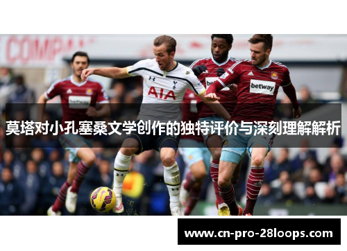 莫塔对小孔塞桑文学创作的独特评价与深刻理解解析
