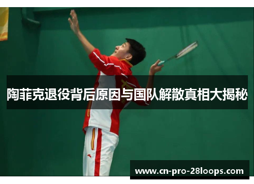 陶菲克退役背后原因与国队解散真相大揭秘