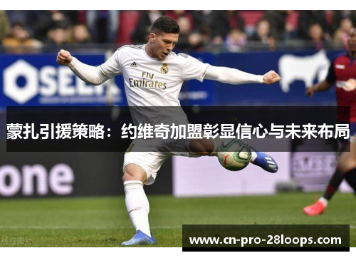 蒙扎引援策略:约维奇加盟彰显信心与未来布局 蒙扎引援策略:约维奇加盟彰显信心与未来布局