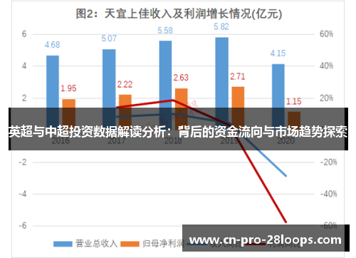 英超与中超投资数据解读分析:背后的资金流向与市场趋势探索 英超与中超投资数据解读分析:背后的资金流向与市场趋势探索