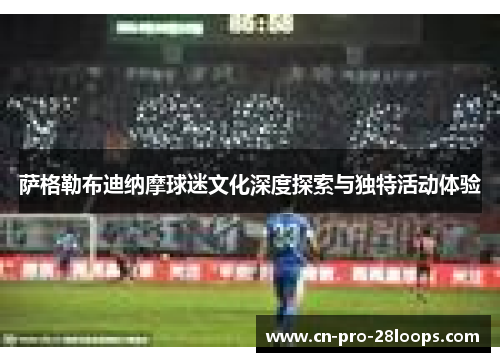 萨格勒布迪纳摩球迷文化深度探索与独特活动体验