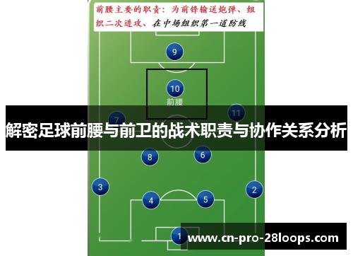 解密足球前腰与前卫的战术职责与协作关系分析 解密足球前腰与前卫的战术职责与协作关系分析