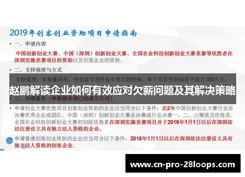 赵鹏解读企业如何有效应对欠薪问题及其解决策略 赵鹏解读企业如何有效应对欠薪问题及其解决策略