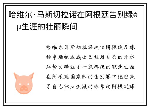 哈维尔·马斯切拉诺在阿根廷告别绿茵生涯的壮丽瞬间