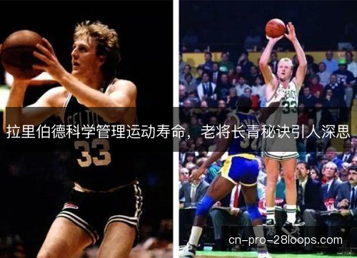 拉里伯德科学管理运动寿命,老将长青秘诀引人深思 拉里伯德科学管理运动寿命,老将长青秘诀引人深思